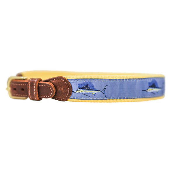 Buddy Belt, Sailfish