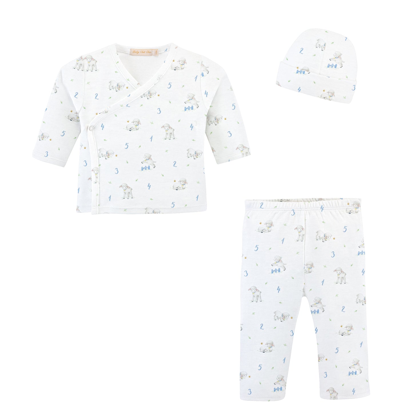 Printed Take Me Home & Hat Set, Counting Baby Sheep Blue