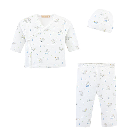 Printed Take Me Home & Hat Set, Counting Baby Sheep Blue