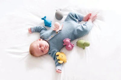 Dolphin Organic Natural Rubber Rattle, Teether & Bath Toy