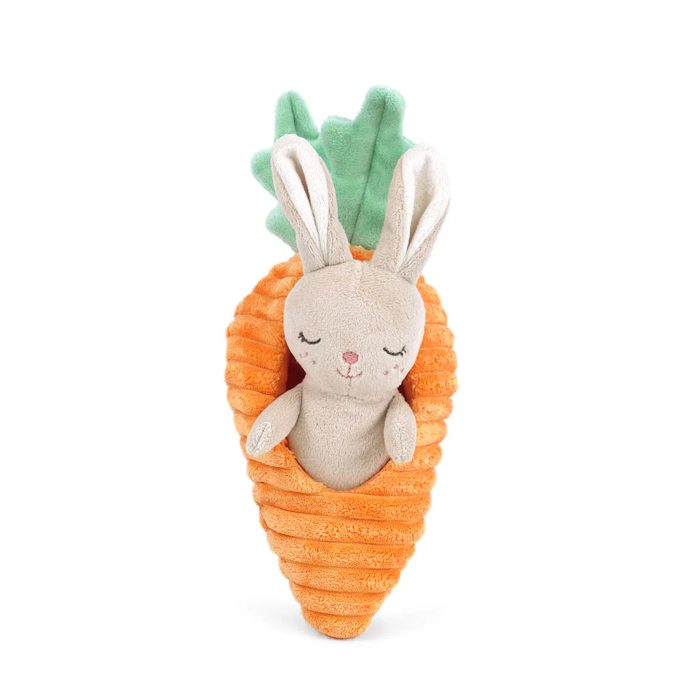 Bunny in Carrot Activity Toy