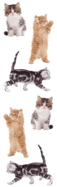 Mrs. Grossmans Kitties, Sticker Sheet - Lily Pad